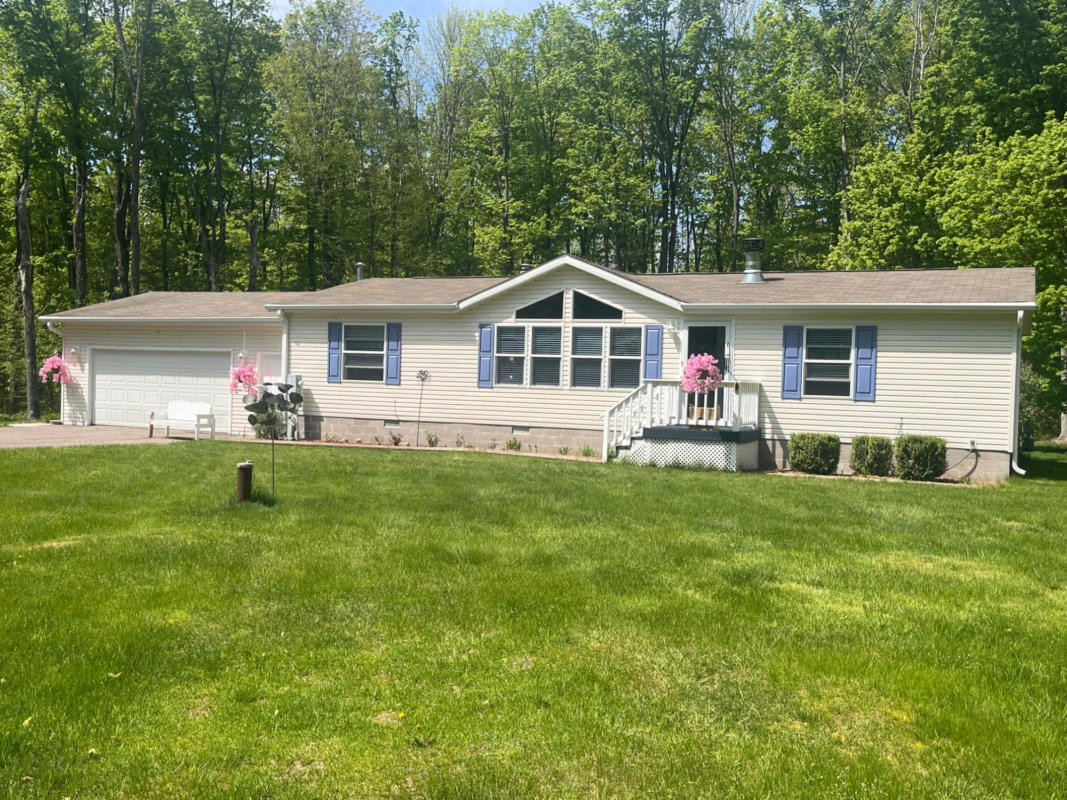 17745 HOLIDAY ACRES LN, TOWNSEND, WI 54175, photo 1 of 25