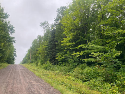 ON UNCLE TOMS RD, LORETTA, WI 54896 - Image 1