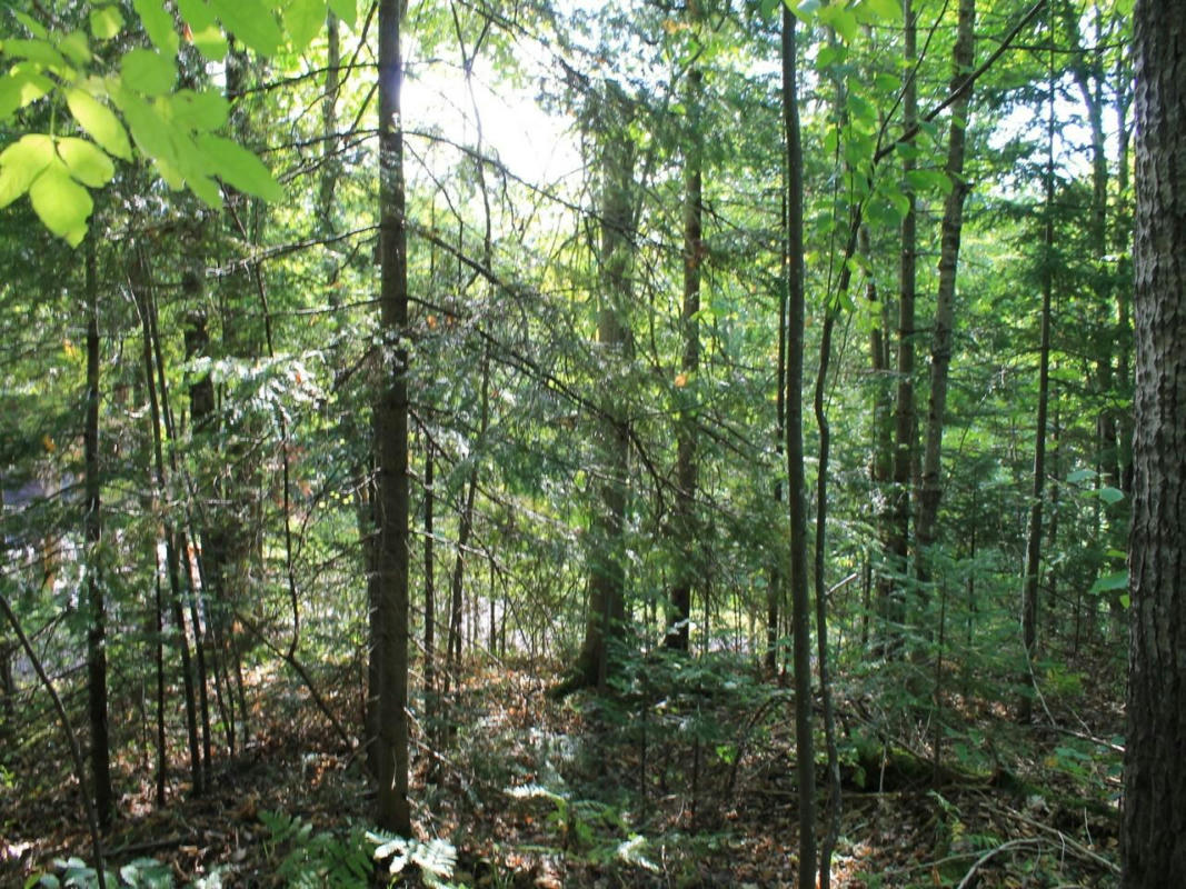 LOT 16 ALPINE DR, HURLEY, WI 54565, photo 1 of 12