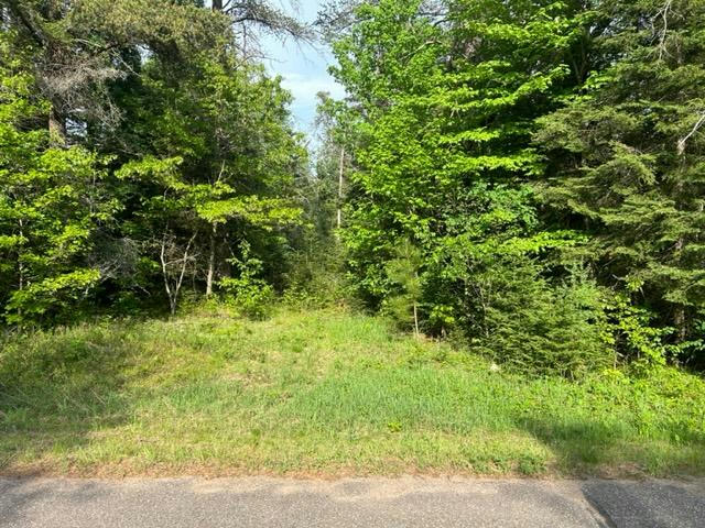 ON BIG PORTAGE LAKE RD # 39.9 ACRES, Land O' Lakes, WI 54540 Land For ...