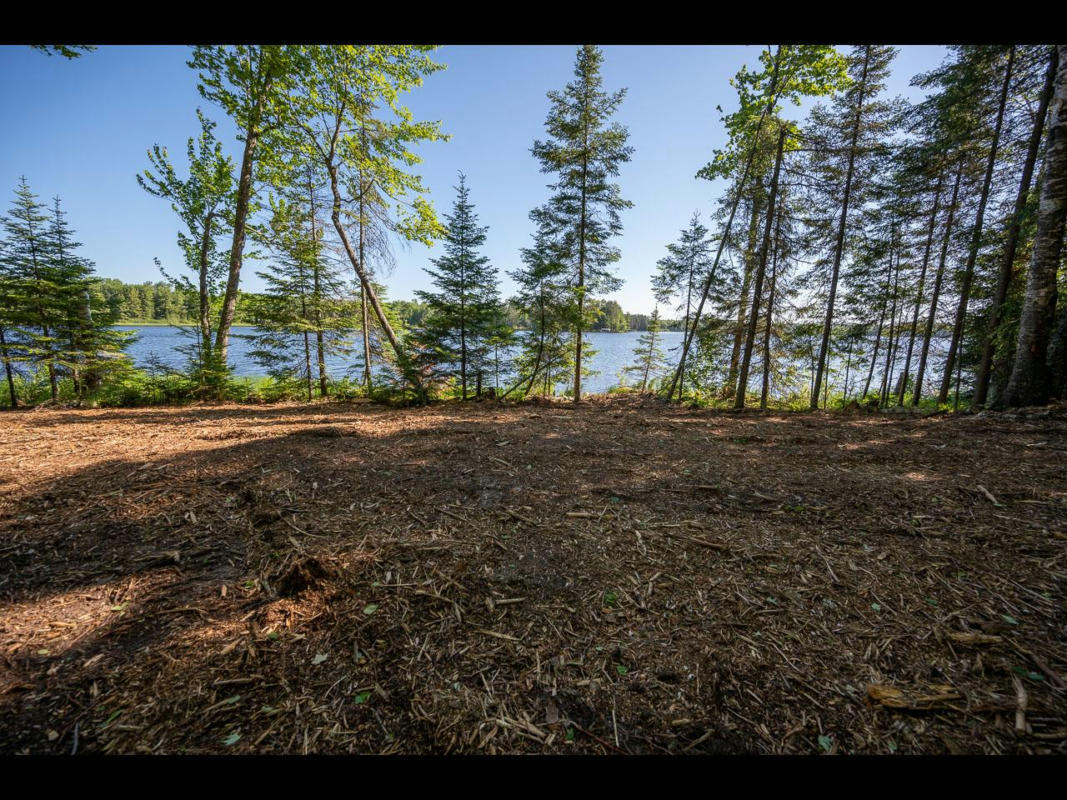 163-165 CLEARWATER LAKE TR, EAGLE RIVER, WI 54521, photo 1 of 30