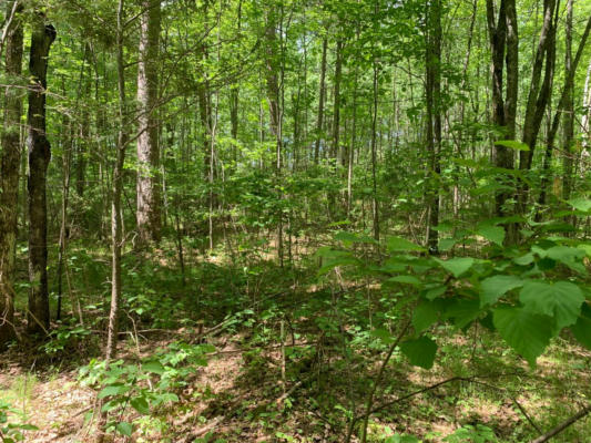 LOT 43 NORWAY PINE TR, TOMAHAWK, WI 54487, photo 2 of 8