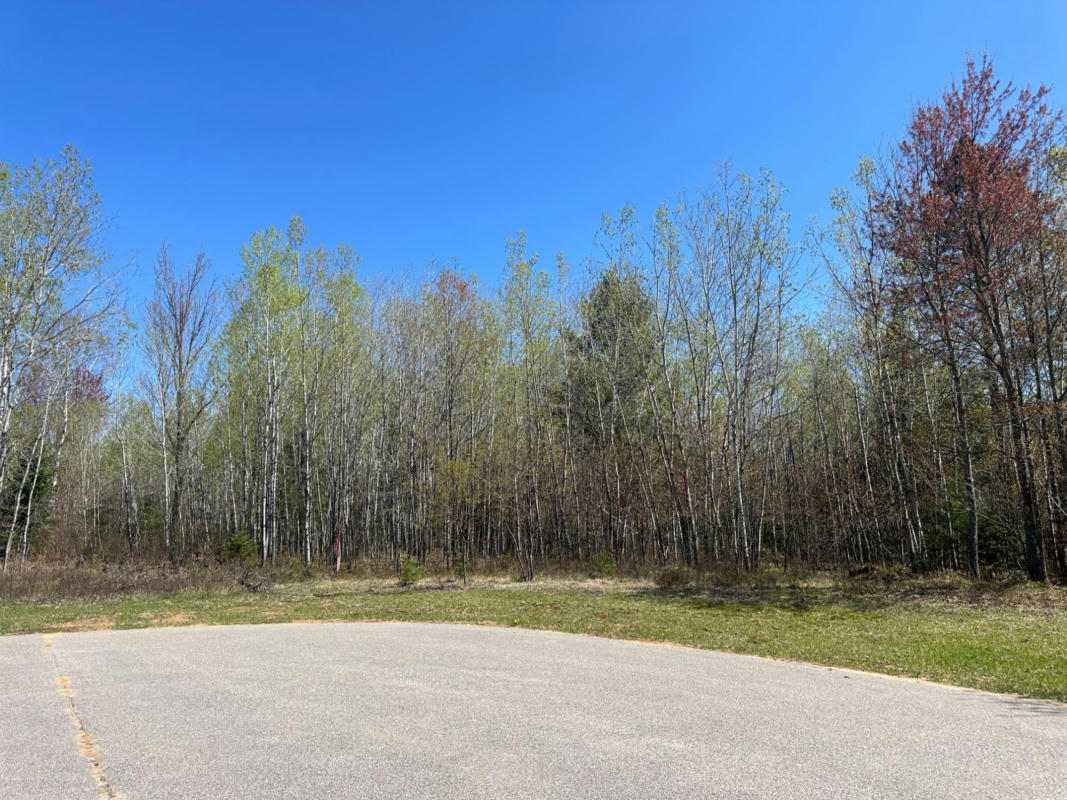 LOT #10 WOOD DALE TR, EAGLE RIVER, WI 54521, photo 1 of 8