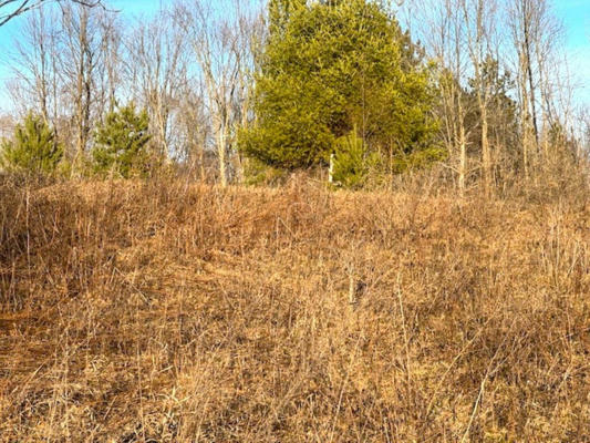 LOT 6 THORN APPLE DR, WITTENBERG, WI 54499 - Image 1