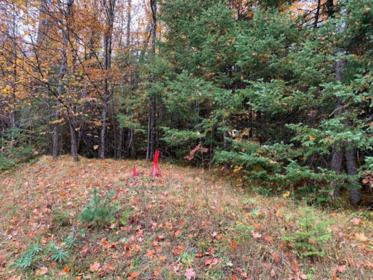 ON CTH FF # 1.5 ACRES, MERCER, WI 54547, photo 4 of 20