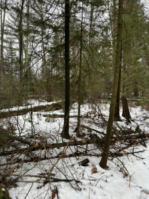 LOT 2 BRANCH RD, TOMAHAWK, WI 54487, photo 4 of 14