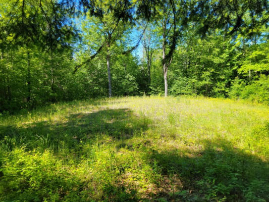 20 MANY ROCK RD # LOT, MERCER, WI 54547, photo 4 of 7
