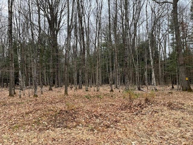 ON FOREST LAKE RD W # LOT 3, LAND O LAKES, WI 54540, photo 1 of 2