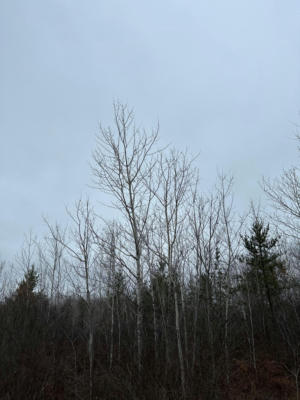 ON WOOD RD # 4069-23, TOMAHAWK, WI 54487 - Image 1