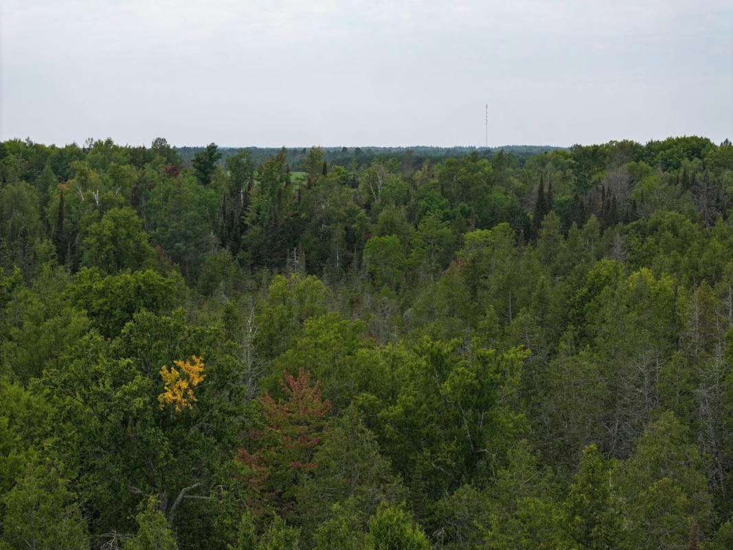 ON CTH D, SUGAR CAMP, WI 54521, photo 1 of 32