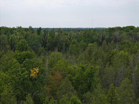 ON CTH D, SUGAR CAMP, WI 54521 - Image 1