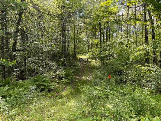 3 ACRES BIRCH BAY RD, TOMAHAWK, WI 54487 - Image 1