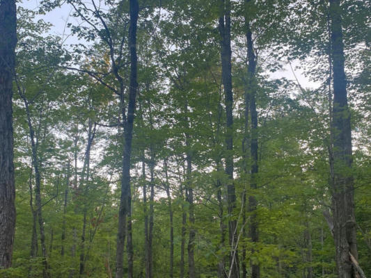 LOT 5 CHURCH RD, CONOVER, WI 54519 - Image 1