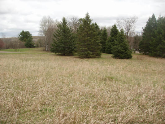 2ND ADD. RIVER RD N # LOT 3, PARK FALLS, WI 54552, photo 3 of 13