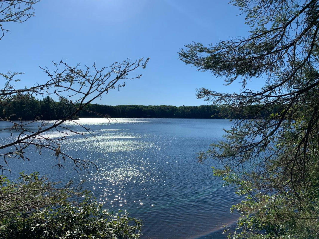 OFF KNUTH LN # LOT 4, LAND O' LAKES, WI 54540, photo 1 of 28