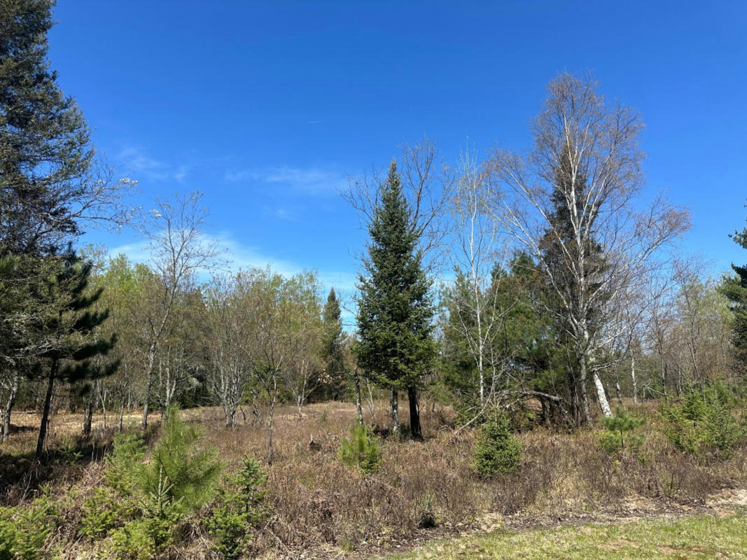 LOT #11 WOOD DALE TR, EAGLE RIVER, WI 54521, photo 1 of 8