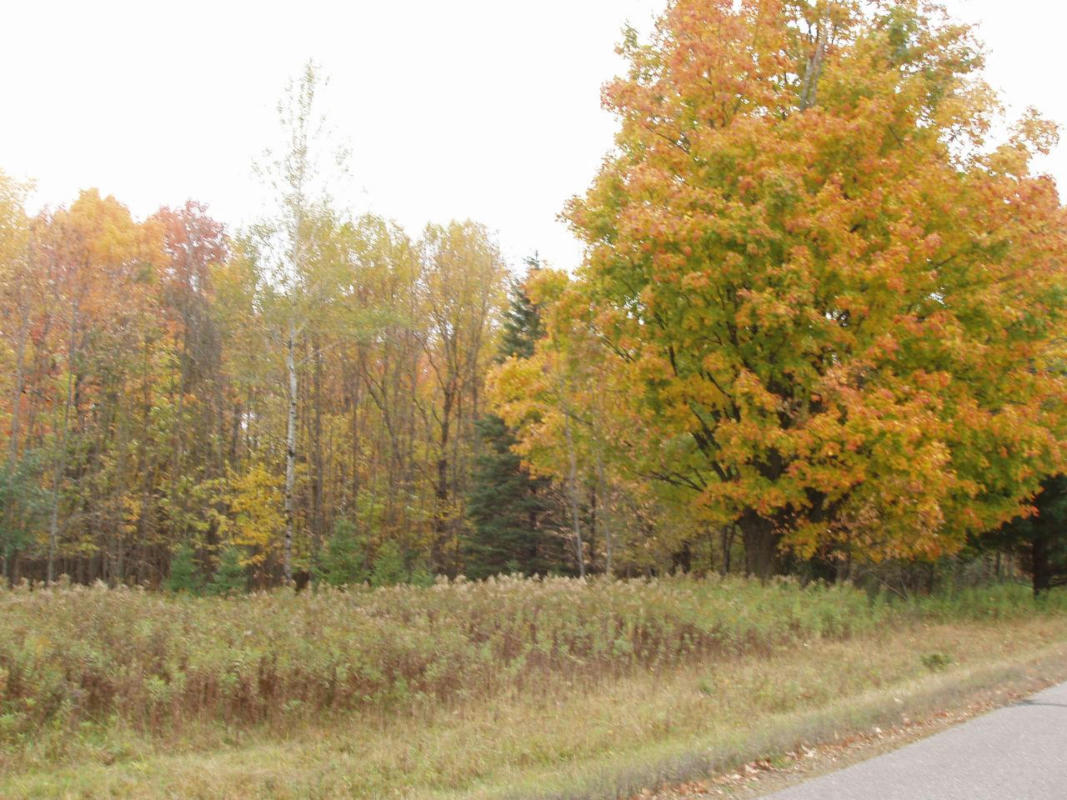 4TH ADD. MARGARET LN # LOT 4, PARK FALLS, WI 54552, photo 1 of 4