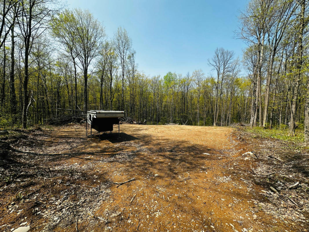 LOT 1 ON SECLUSION WAY, PHELPS, WI 54554, photo 1 of 4