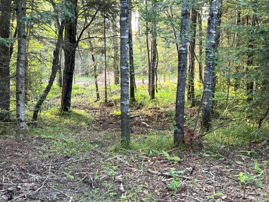 LOT 5 OF RIVER HILL RD, CONOVER, WI 54519 - Image 1