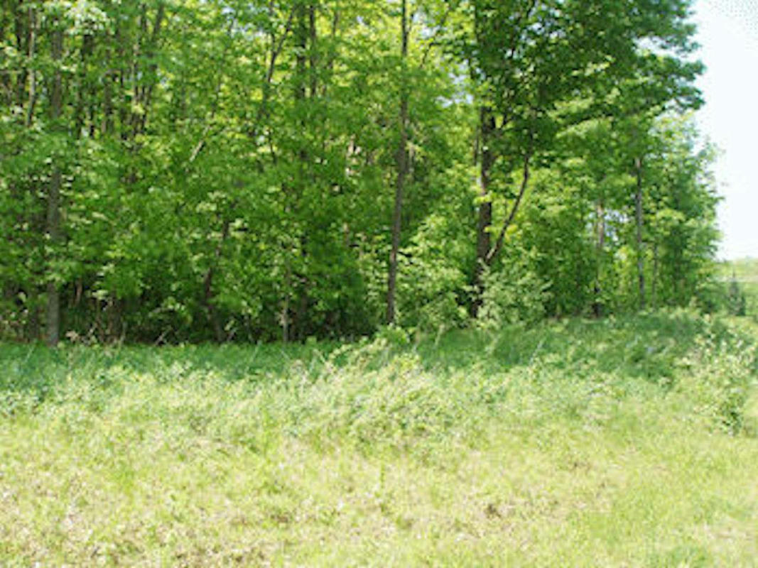 4TH ADD. MARGARET LN # LOT 12, PARK FALLS, WI 54552, photo 1 of 3