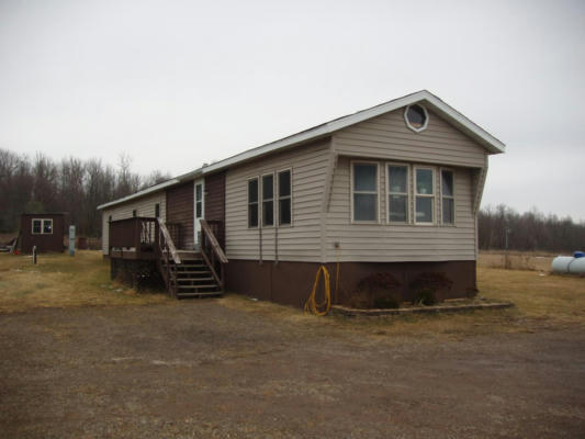 11049 LAKEVIEW DR, BUTTERNUT, WI 54514 - Image 1