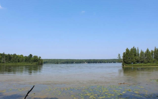 LOT 2 FOREST LN, PICKEREL, WI 54465 - Image 1