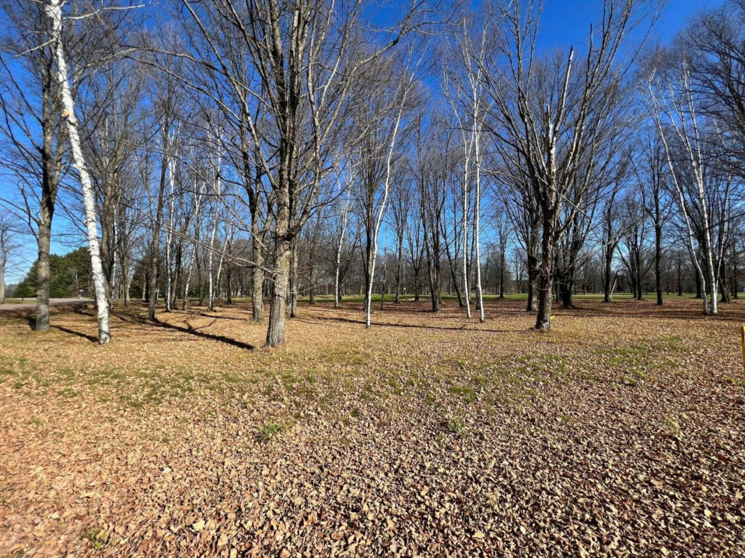 LOT 14 HUNTER CR, ANTIGO, WI 54409, photo 1 of 2