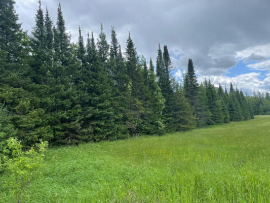 ON BEAR LAKE RD # 40 ACRES, BUTTERNUT, WI 54514 - Image 1
