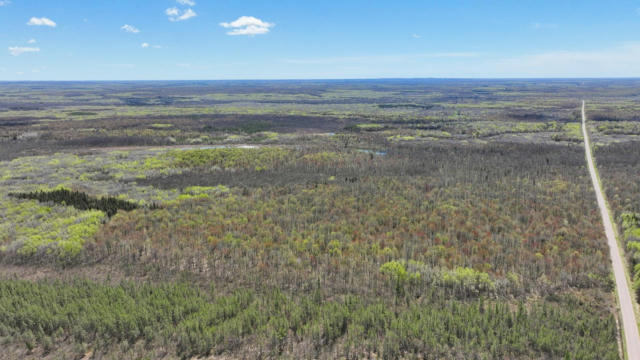 80 ACRES OTHER, JUMP RIVER, WI 54433, photo 2 of 12
