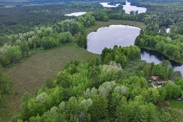 LOT 46 WHITETAILED DEER DR, TOMAHAWK, WI 54487 - Image 1