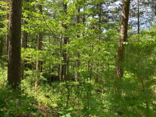 LOT 44 NORWAY PINE TR, TOMAHAWK, WI 54487, photo 3 of 8