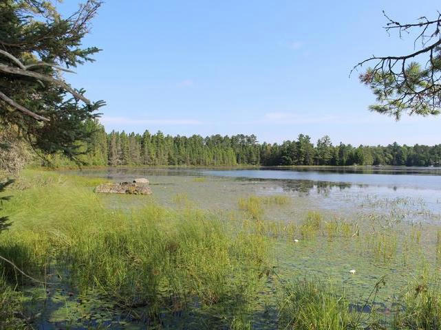 ON BIRCH LAKE RD # LOT 9, WATERSMEET, MI 49969, photo 1 of 20