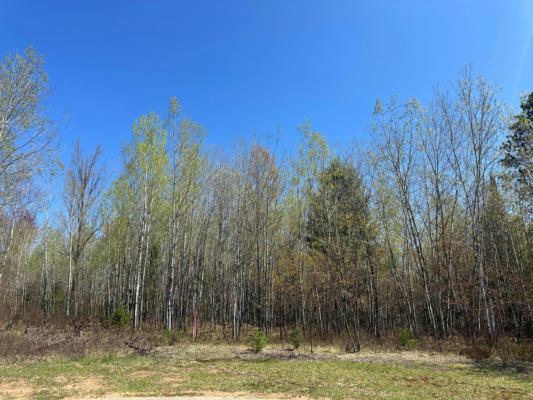 LOT #10 WOOD DALE TR, EAGLE RIVER, WI 54521, photo 3 of 8