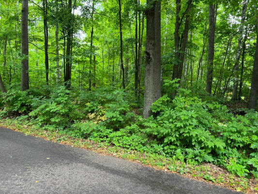 LOT 7 MILL RD, ELCHO, WI 54485 - Image 1