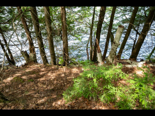 LOT 10 LUPINE LN, PHELPS, WI 54554, photo 4 of 9