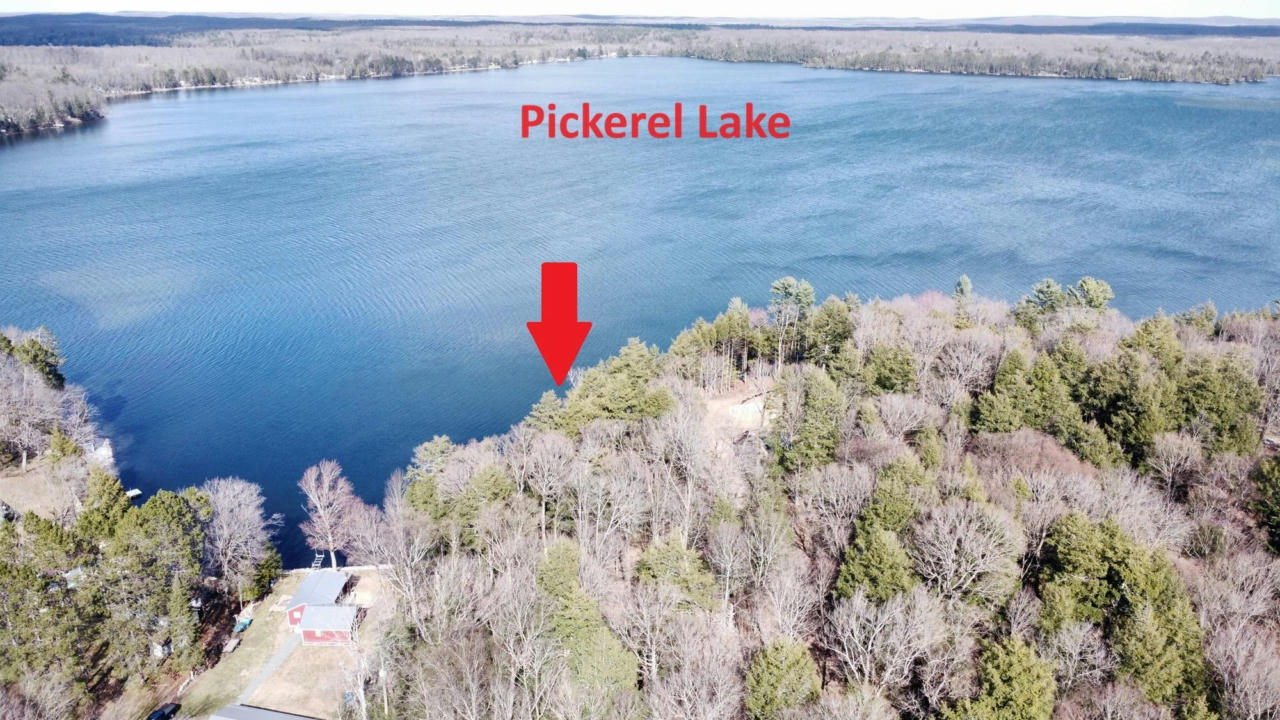 ON SHORE DR S, PICKEREL, WI 54465, photo 1 of 20