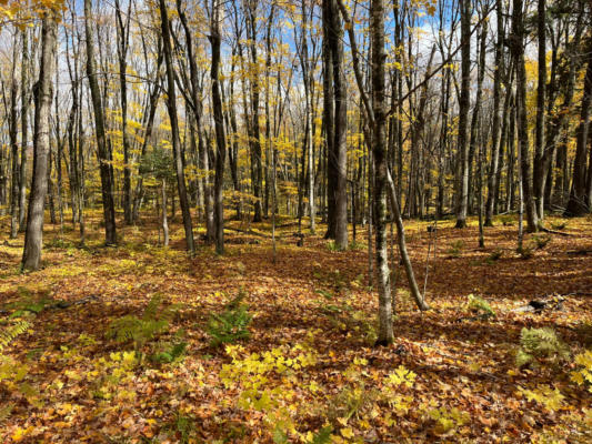 LOT 26 BLACK FOREST RD, PRESQUE ISLE, WI 54557 - Image 1