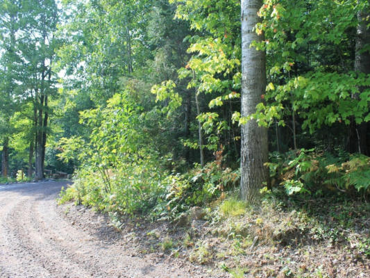 LOT 16 ALPINE DR, HURLEY, WI 54565, photo 4 of 12