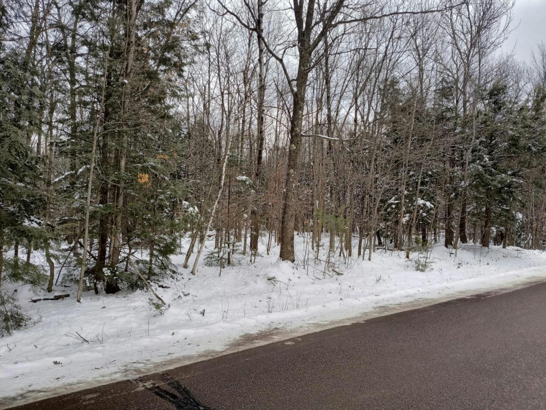 ON MIRROR LAKE RD W, PARK FALLS, WI 54552, photo 1 of 4