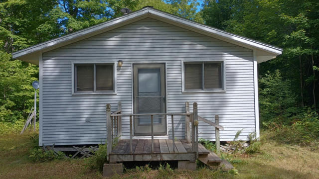 1010 COUNTY LINE LAKE RD, HAIGHT TOWNSHIP, MI 49912 - Image 1