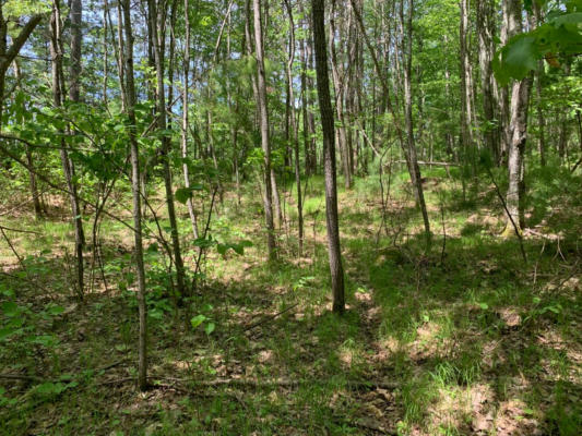 LOT 43 NORWAY PINE TR, TOMAHAWK, WI 54487, photo 4 of 8
