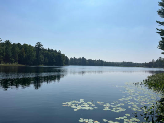 LOT 1 LITTLE CREEK DR, MINOCQUA, WI 54548 - Image 1