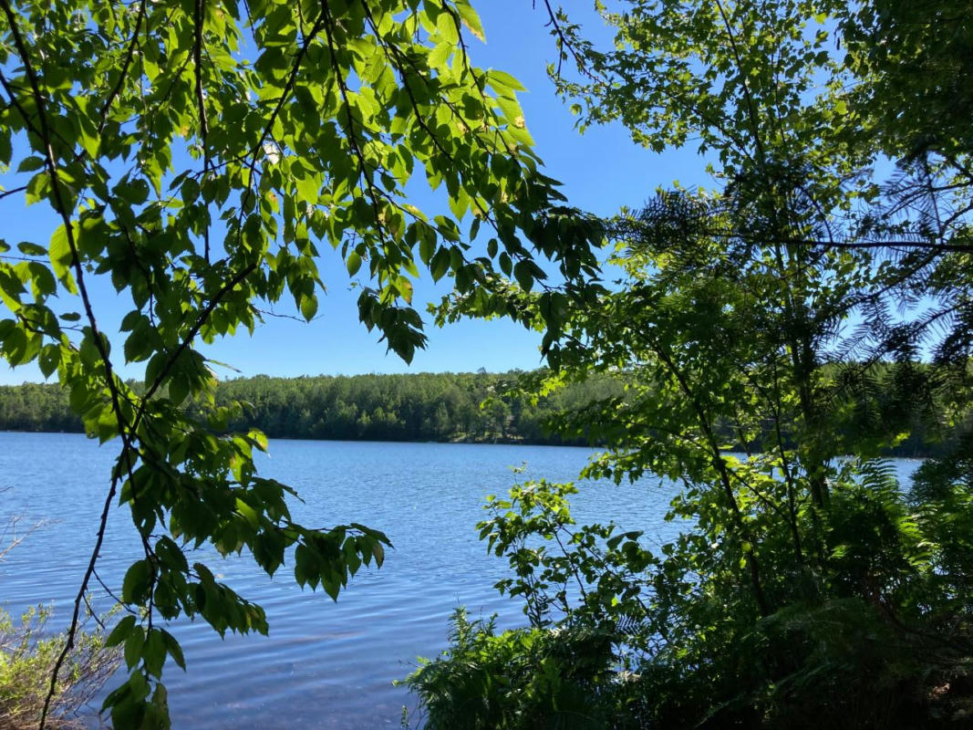 ON CAMP SIX LOOP # LOT 16, LAONA, WI 54541, photo 1 of 18