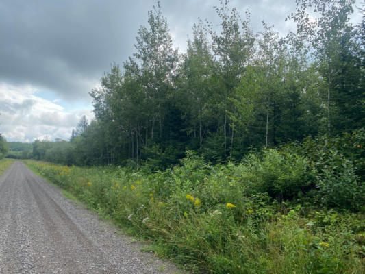 ON RIGHT OF WAY RD, BUTTERNUT, WI 54514 - Image 1