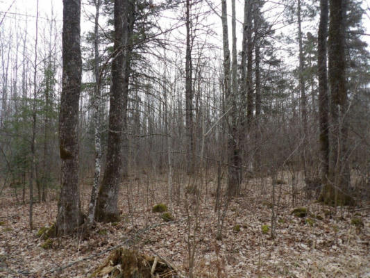 OFF WRIGHT RD # 40+/- ACRE, WINTER, WI 54896, photo 2 of 18