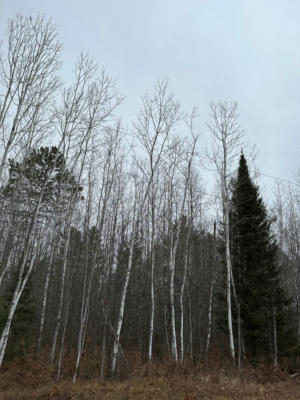 ON BURROWS LAKE RD # 4067-D, TOMAHAWK, WI 54487 - Image 1