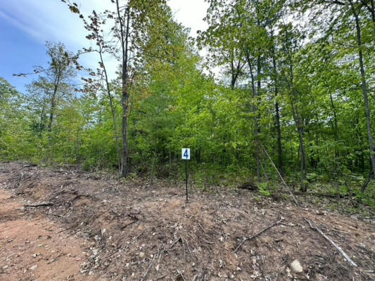 LOT 4 CTH B, LAND O LAKES, WI 54540 - Image 1