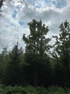 ON CTH Y # LOT 1, TOMAHAWK, WI 54487 - Image 1