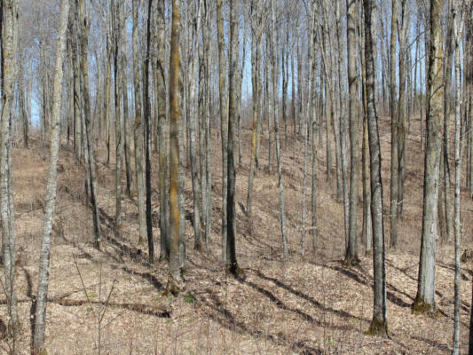 ON WILL RD # 40 ACRES, MELLEN, WI 54546 - Image 1