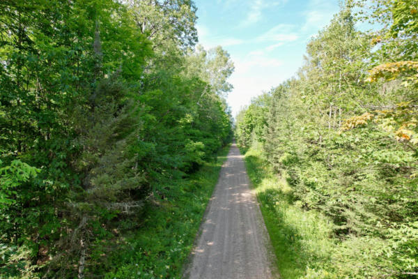 ON COUNTY LINE LN W # 10 ACRES, CRANDON, WI 54520 - Image 1